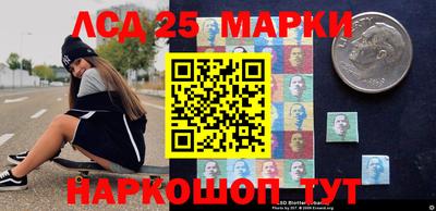 гидропоника Бийск