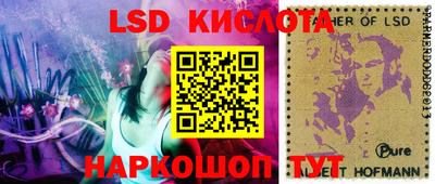 гидропоника Бийск