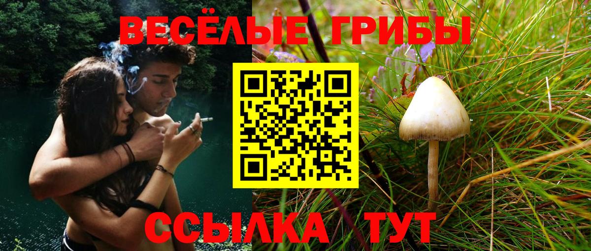 Карачаевск  Псилоцибиновые грибы прущие грибы  Галлюциногенные грибы Magic Shrooms  Вход с VPN 