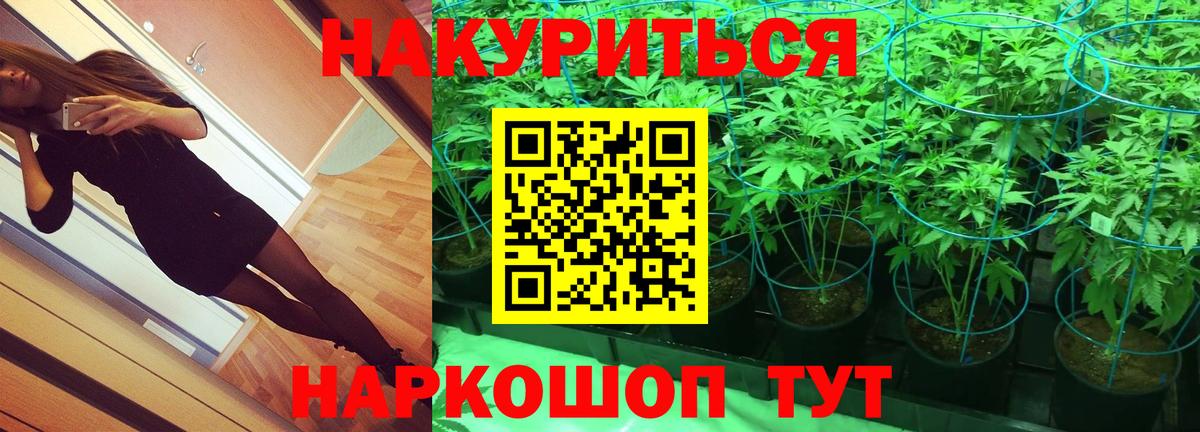 Карачаевск  Канабис план  Бошки марихуана конопля  Каннабис индика  Канабис Amnesia  Вход с VPN 