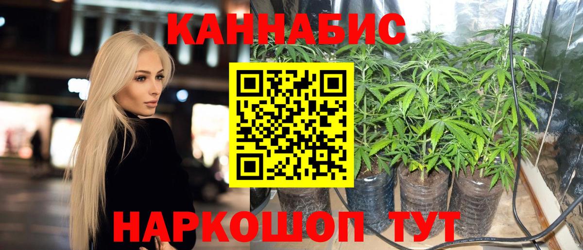 Бошки марихуана THC 21% Карачаевск